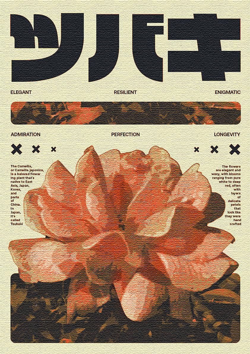 Posters